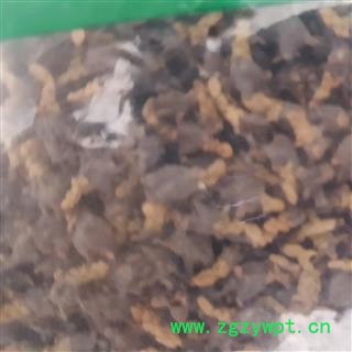 吉康药业侧柏花今年新货图3