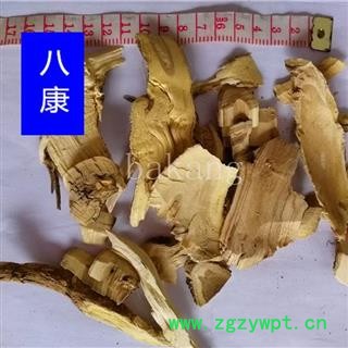 刺五加 根片 产地 黑龙江省大庆市大同区图3