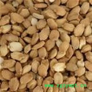 吉康药业中药材 苦瓜籽 苦瓜子图2