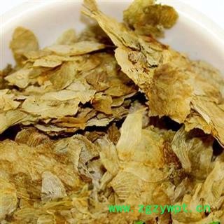 吉康药业啤酒花 蛇麻花 酵母花 忽布 酒花新疆啤酒花图2