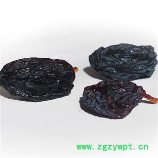 吉康药业葡萄 狗葡萄 灯笼果  山麻子 黑加仑果图2