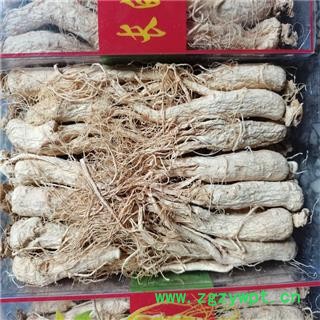 人参 25支500克 产地 吉林省通化市图2