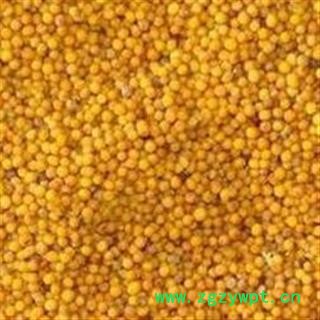 吉康药业芥子黄芥子芥菜子 青菜子 新货 净货图2