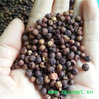 吉康药业酸藤果  绝非南烛子假冒 酸藤头 酸强子 信筒子 咸酸果图2