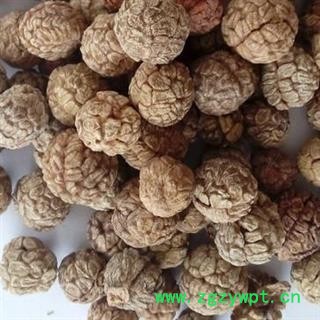 吉康药业砂仁 土砂仁草蔻 草寇 草叩 草扣 海南山姜图2