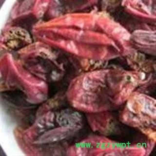 吉康药业东北赤瓟 赤包子 山土豆  气包  山屎瓜 赤雹 敖鲁毛斯 赤瓟图2