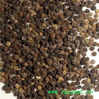 吉康药业白花菜籽白花菜子百花菜子 羊角菜 屡析草 臭花菜 臭豆角 猪屎草 五梅草 白花仔草图2