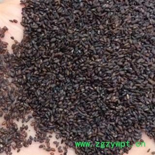 新辉药业正品中药材车前子图2