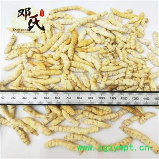 【满包邮】地蚕 白冬虫草 肺痨草 统货 优选品质 产地直供 邓氏中药批发图2