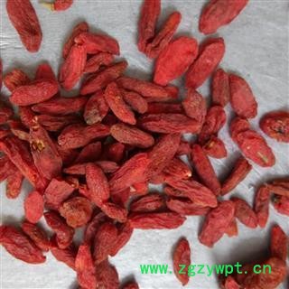 精品枸杞子 大颗粒 新货上市！！纯干不粘手 枸杞  210粒无硫纯干 量大电议产地 宁夏回族自治区图2