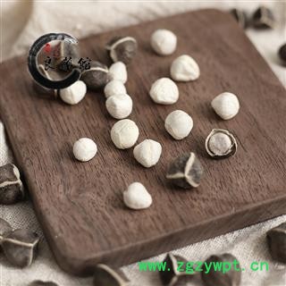 辣木籽 云南大粒选货 药典标准 地道良药馆1000克直销图4