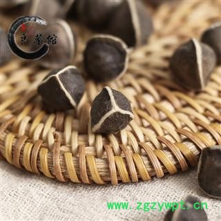 辣木籽 云南大粒选货 药典标准 地道良药馆1000克直销图3