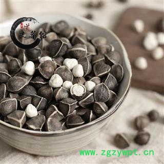 辣木籽 云南大粒选货 药典标准 地道良药馆1000克直销图2