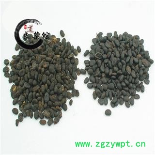 补骨脂饱满统货 产地云南 药典标准 地道良药馆1000克直销图2