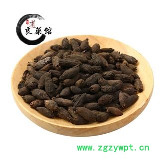 母丁香 母丁香统货  药典标准 地道良药馆1000克直销图3