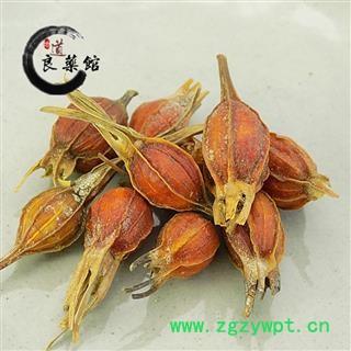 栀子统个 药典标准 地道良药馆 产地直销1000克 品种齐全 一站购齐图4