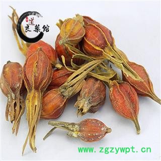 栀子统个 药典标准 地道良药馆 产地直销1000克 品种齐全 一站购齐图2