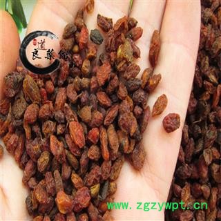 沙棘选货 沙棘果  沙棘干 药典标准 地道良药馆产地新疆 1000克直销图4