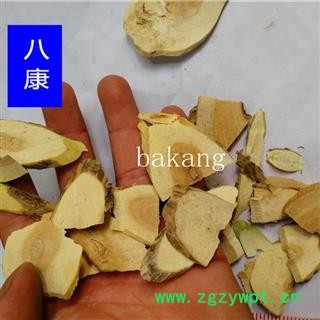 五指毛桃 01杆片图2