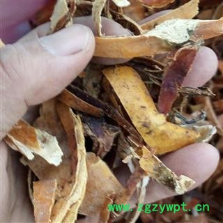 野生瓜蒌皮 大片 产地 河南省平顶山市汝州市图3