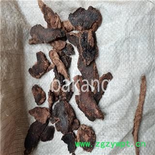 生地黄  产地 河南省图2