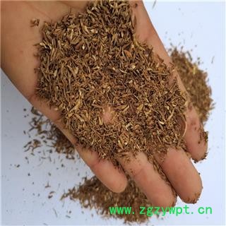 当归 沫子 产地 甘肃省图2