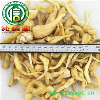 【满包邮】峨参统货散装云南产地直供金山田七 土白芷 广三七 胡萝卜七 水田七  土田七沁信源中药批发图2