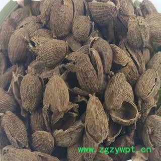 吉康药业砂仁 砂仁壳 砂仁皮量大从优图2