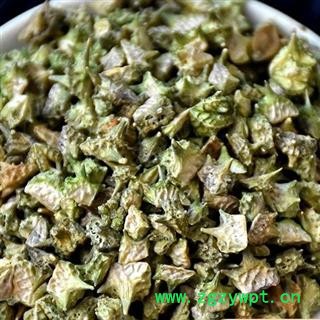 吉康药业蒺藜 白蒺藜 色绿 闯刺干净无杂可走饮片厂图2