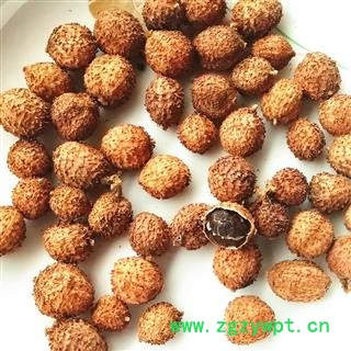 吉康药业砂仁 阳春壳砂仁晒干选货 产地 广东省图2