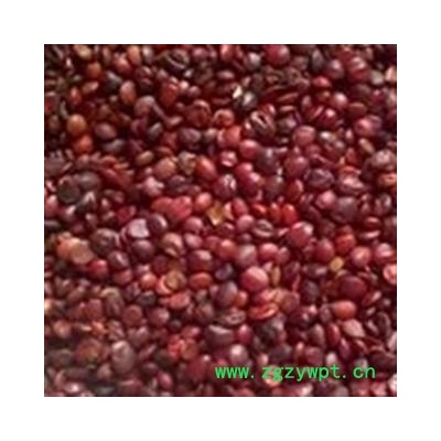 枣仁 酸枣仁95货，国产正品好货 产地 山东省