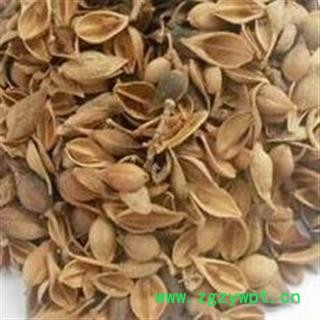 黄翘 黄翘 过筛货 地道好货产地 山西省图2