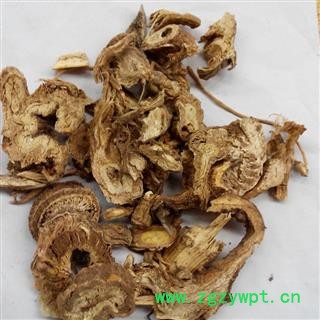 独活 野生选装 产地 四川省图2