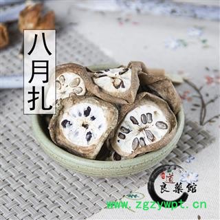 八月札选货 预知子 畜蓄子、木通子、八月瓜 腊瓜 拿子 八月炸、羊开口湖北产1000克直销图4