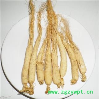 【满298元包邮】人参 生晒参45支 500克一盒  产地 吉林省图4