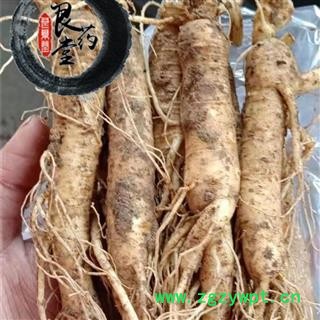 【满298元包邮】人参 鲜人参小条 产地 吉林省图2