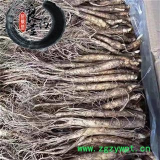 【满298元包邮】人参 鲜人参小条 产地 吉林省图3