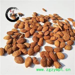 山桃仁统货  药典标准 地道良药馆产地直销1000克 品种齐全 一站购齐图3