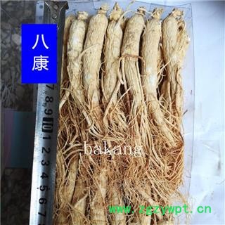 人参 白全参 40支=500克 白参图4