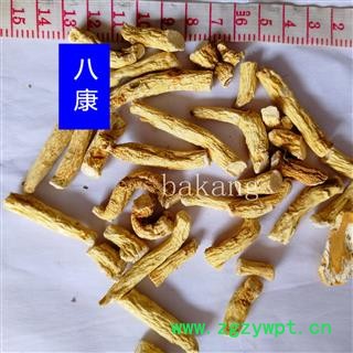 人参 段节 产地 吉林省图3