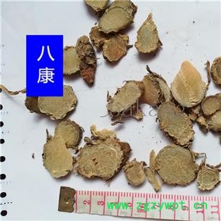 莪术 B级 产地 广西壮族自治区梧州市长洲区图2