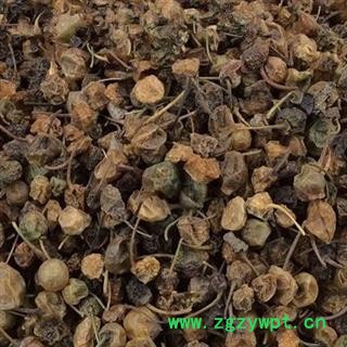 吉康药业龙葵龙葵果 干龙葵子 龙葵籽 天茄子 苦葵籽图2