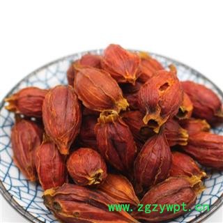 栀子 福建栀子 颜色红 无虫蛀无霉变 主流统货重在品质吉康药业图2