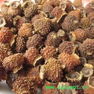 吉康药业刺梨  山王果 佛朗果 茨梨 木梨子 刺菠萝 送春归 刺酸梨子 九头鸟 文先果图2