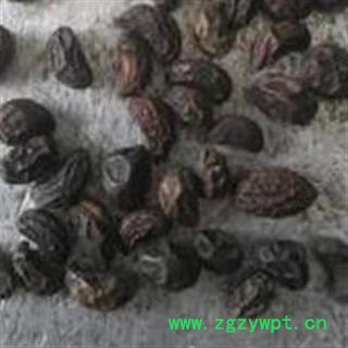 吉康药业女贞子 女贞子 女贞子 鸡腰果净货 地道药材 产地 山东省图3