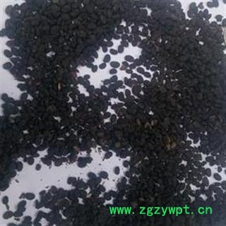 吉康药业黑故子补骨脂 生精子 胡韭子、婆固脂 统货 云南产图2