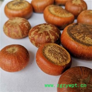 吉康药业云南特产中药材泡酒料风流果壮阳果补肾果图3