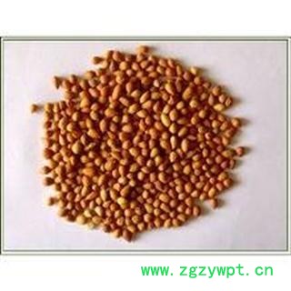 郁李仁 统 产地 内蒙古自治区包头市市辖区图2