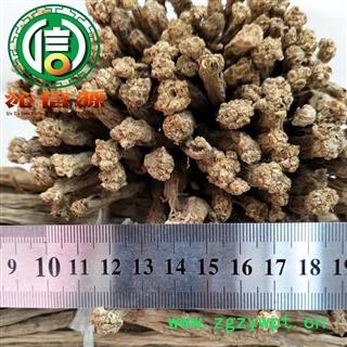 【满包邮】党参中条无硫统货散装甘肃产地直供沁信源中药批发图2