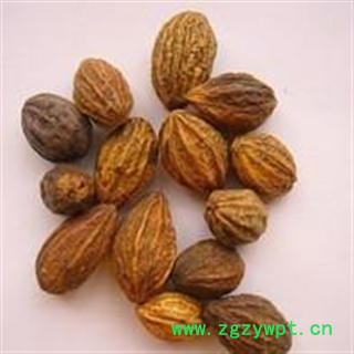 吉康药业诃子 柯子 金柯子 大金果 随风子图2